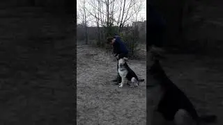 Тор, выборка
