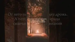 Мухьаммад Аль-Люхьайдан Красивое Чтение Корана 