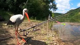 Ловля подлещика на реке на червяка + чесночный пуфик