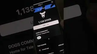 Новый проект от Павла Дурова #dogs #money #dogecoin #doge #dogechain