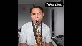 Terlalu cinta- Rossa Saxophone Cover