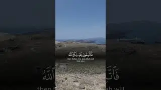 Quran Recitation #shorts #islamic_video #islam