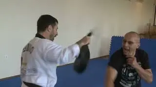 Magyar para-karate sport fejlesztési stratégia - Készítette: Kalmár Árpád, MSC Karate szakedzői szak
