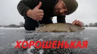 Зимняя рыбалка! Первая в жизни Щука Деда Ивана!#54