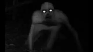 Top 10 Most Terrifying And Mysterious Creatures In This World