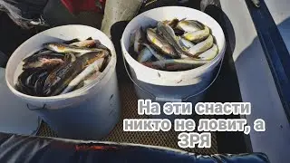 ПОЛНЫЕ ВЕДРА РЫБЫ. НЕОБЫЧНАЯ РЫБАЛКА, ТЕПЕРЬ ЛОВЛЮ ТОЛЬКО НА МОРЕ