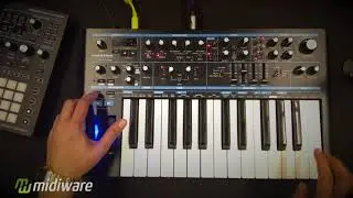 Bass Station II v4.14 Aphex Twin AFX mode