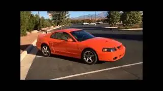 03 vs 04 Cobra: What's the difference between the two years of the terminator Cobra?