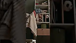 Давно не было меня на канале💀