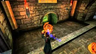 Let's Play: Harry Potter and the Chamber of Secrets - Episode 3 - They shoot... at you.