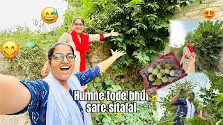 Humne tode bhut saare sitafal..🤤😋 (custard apple) |Siya and Sneha|