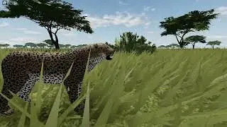 wild savanna leopard!!