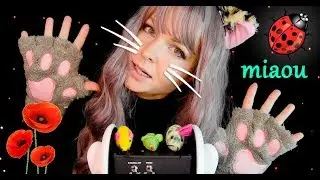 YOUR KITTEN HELP YOU SLEEP WITH THE TRIGGER WORDS AND. . . ( ASMR )