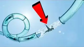 WATERSLIDE OF ABU DHABI