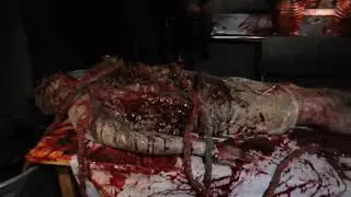 Dark Harvest Haunt 2021