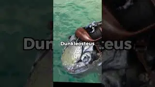 Best Underwater Dinos in Ark Survival Evolved