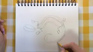 How to Draw a Salamander