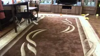 Смайлюня
