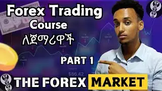 Forex Trading Part 1 | For Beginners!