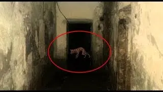 Вызов духов - Крикун ОН ПРИШЁЛ И СЖЁГ ЛИСТОК!!!