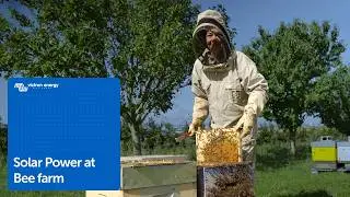 Honey Production in French Champagne Region using Solar Power
