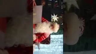 Поздравление для Полины от Деда мороза
