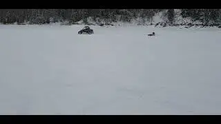 на плюшке за квадроциклом
