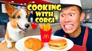 COOKING with CORGI: I Made McDonald's Dog-FRIENDLY