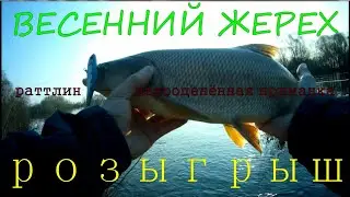 Весенний ЖЕРЕХ \ Раттлин недоооценённая приманка\ Розыгрыш \ 