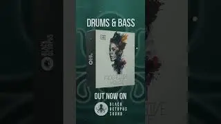 Progressive House Music Samples by Bingoshakers