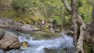 Çanakkale Kaz Dağları Keyif