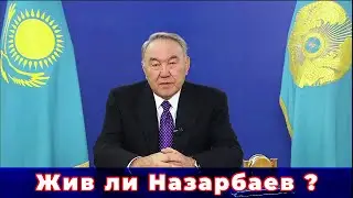 Жив ли Назарбаев ?【Таро-прогноз】