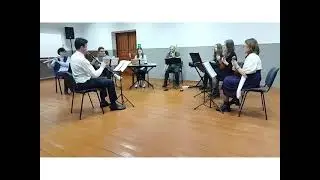 Оркестровая группа «laudate Dominum». Муз.композиция №1