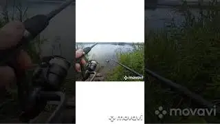 Лещ