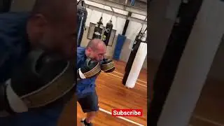 Tyson style heavybag 