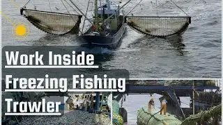 How Freezing Fishing Trawler work I Fishing and processing on Freezing trawlers
