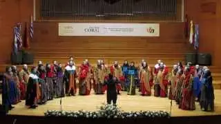 Cieguito cantor - Drakkar - San Juan Coral 2015