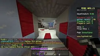 My first minecraft tournament with my friends (mini walls)