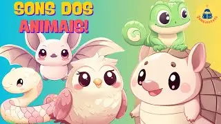 Som dos Animais da Floresta: Coruja, Morcego, Cobra, Tatu e Camaleão!