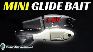 My Top 5 July Baits For Offshore Bass Fishing in 2024