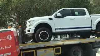 Ford Shelby Truck