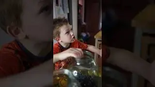 Самый строгий ресторанный критик,гроза всех мам и поваров😂. Домашний компот👍