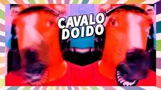 CAVALO DOIDO NO OMEGLE 