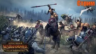 Куда ведут звериные тропы? ♦ Total War: Warhammer ♦ Стрим