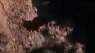 Avlanma