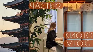 ЯПОНИЯ КИОТО влог | Красный клен | часть 2