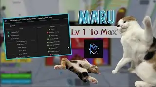 Blox Fruits Script | Kaitun Lv1 to Max (Maru Hub) - Showcase