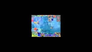 PGG DAMIR