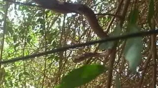 M0021518.AVI