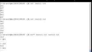 Linux Command (Diff)